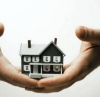 Gửi tương lai xanh từ góc nhìn bạn Hải Linh